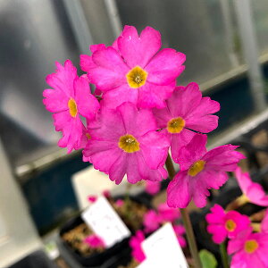 R쑐̕c/TN\EijFq}[Riq}~}TN\Ej3|bg