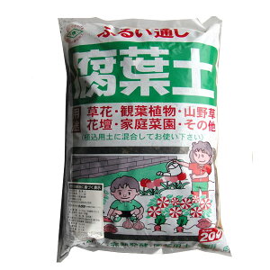 ӂ邢ʂty20bgiOYj3܃Zbg