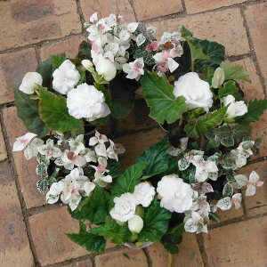 Ԃ̕c/30cm[Xv^[p6ZbgFtH[`xSjAizCgjƃncLJY