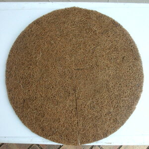 V@ۉ~Ճ}bga33cm10Zbg