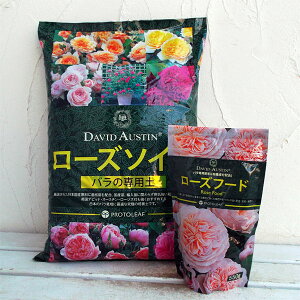 [Y\C10bgio̐pyjƃ[Yt[h550gZbg