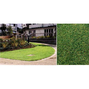 []ŁFRECVo@EC^[tB[h1.8ĕ(Łj