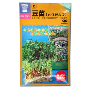 V̎iXvEg͔|pjFgE~Eicj[^l]