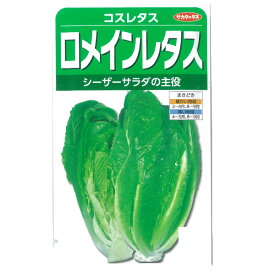 楽天市場 ロメインレタス 種 サカタの通販