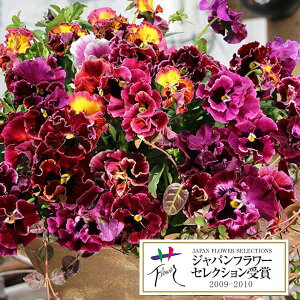 Ԃ̕c/pW[F[t[U3.5|bg3Zbg