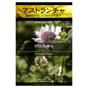 種 宿根草 秋 種の人気商品 通販 価格比較 価格 Com