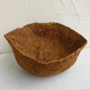 nMOoXPbgpV}bga30cm̉~`oXPbgp