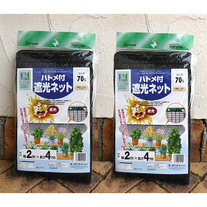 ngtՌlbgiՌ70j2m×4m*2Zbg*