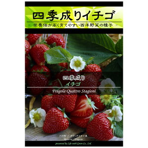 種 野菜 種の人気商品 通販 価格比較 価格 Com 種 野菜 種の人気商品 通販 価格比較 価格 Com