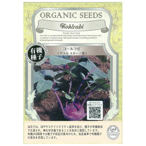 yL25N11z؂̎FL@q@R[riAX X^[j[^l]