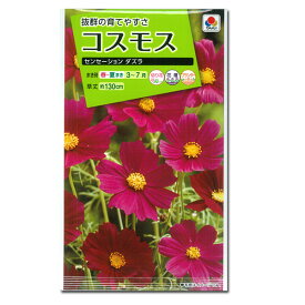楽天市場 花 種 夏まき コスモスの通販