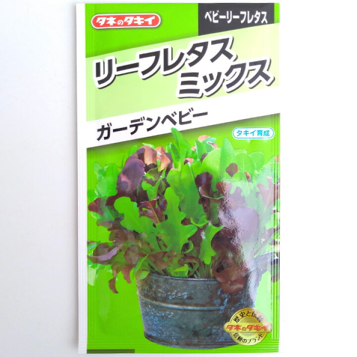 132円 90%以上節約 大葉油麦菜 レタスの種 小袋 野菜の種 132円 90%以上節約 大葉油麦菜 レタスの種 小袋 野菜の種