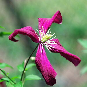 N}`X̕c/N}`XF}_WAR{4|bgir`Znj