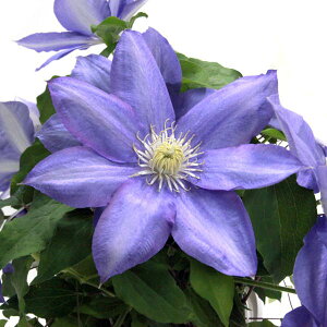 N}`X̕c/N}`XFH.F.O4|bgipeXEkMm[Tnjk