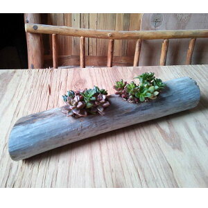 流木 多肉植物 農業資材 ガーデニング用品の人気商品 通販 価格比較 価格 Com