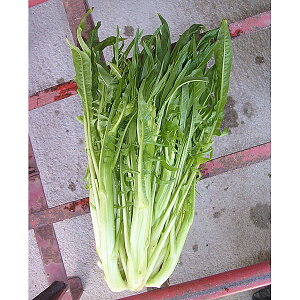 AXpKX`Riv^EC^A؁j[؃^l]