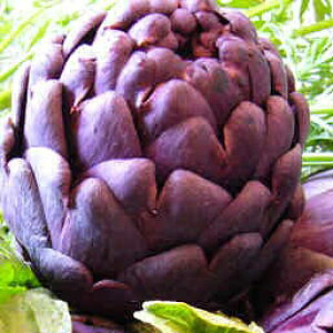 Ԃ̕c/A[eB`[NFoCIbgO[u3-3.5|bg