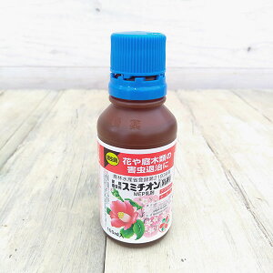 E܁Fƒ뉀|pX~`I100ml