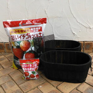 p@Đv^[Fij2ƓyƔ엿̃Zbg