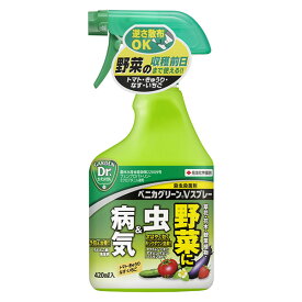 殺虫殺菌剤(野菜用）：ベニカグリーンVスプレー 420ミリリットル
