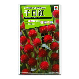 センニチコウ（千日紅）：ストロベリーフィールズ[タキイ 花タネ]