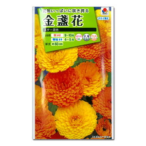 秋 切花の人気商品 通販 価格比較 価格 Com 秋 切花の人気商品 通販 価格比較 価格 Com