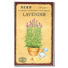 楽天市場 ラベンダー 種の通販