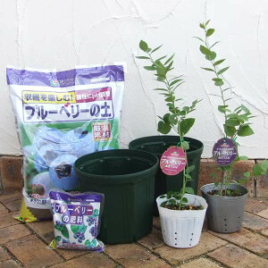 ʎ̕c/u[x[͔|ZbgF܂ԐƂԐ̑劔E͔|Zbg