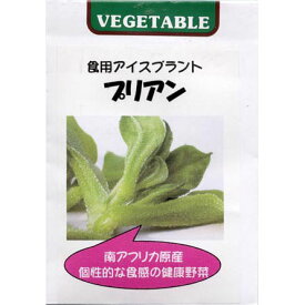 食用アイスプラント　プリアン　2袋セット（人気沸騰中の珍しい野菜）[野菜タネ] [タネ]