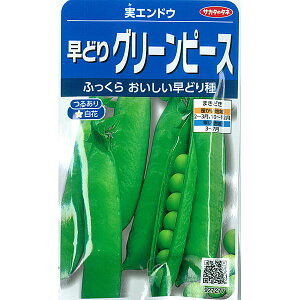 GhEFO[s[Xiɑ@氓j*[TJ^@؃^l]