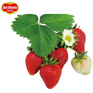 ؂̕c/C`SF߂fJbI3|bg12Zbg