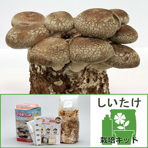 ؂̕c/͔̂|ZbgFł܂@