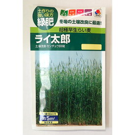 超極早生らい麦の種：ライ太郎 約5平米分[春・秋まき（冷涼地5～8月）タネ]