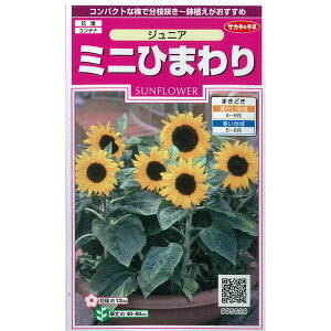 ミニ ひまわり 種の人気商品 通販 価格比較 価格 Com