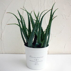 ϗtA/t`uL|bgFL_`AGiؗAGj5A