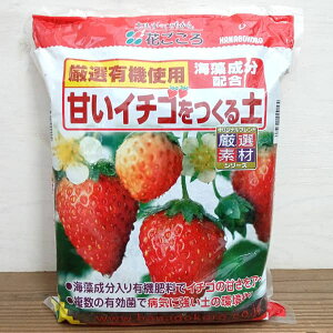 イチゴ 培養土の人気商品 通販 価格比較 価格 Com イチゴ 培養土の人気商品 通販 価格比較 価格 Com