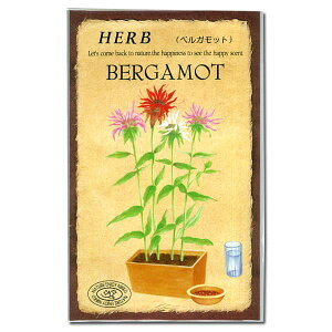 xKbg̎[n[ũ^l 4`6A9`10܂]