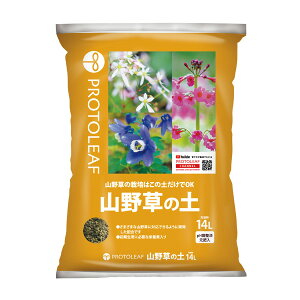 []R쑐̓y@14L4܃Zbgivg[tj