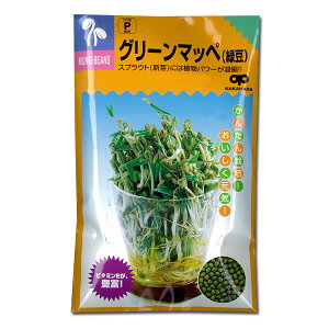 i킯jyL25N09zV̎iXvEg͔|pjFO[}byiΓj[^l]