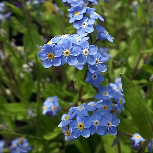 Ԃ̕c/XiOTijFu[bc3|bg3Zbg