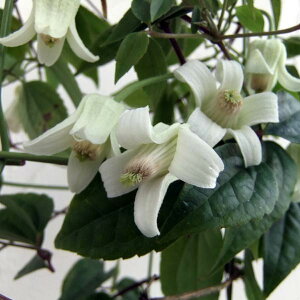 N}`X̕c/N}`XFiGVX4iΌnE~j