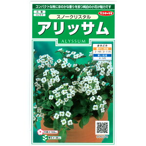AbTFXm[NX^̎[TJ^@ԃ^l]