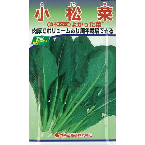 yL25N10zR}cii؁jF悩(R) ̎*[؃^l]