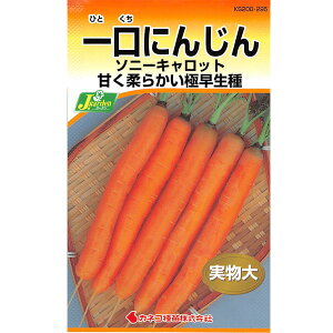 jWFɂ񂶂 \j[Lbg[؃^l]