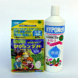 nC|lbNXt 800mlƃ}O@vK嗱500g̃Zbg