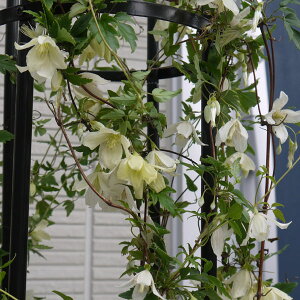 N}`X̕c/N}`XFVzT4|bgi~炫EVzTnj