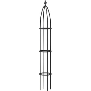 IxXNXV[gi167×a23cmj