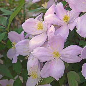 N}`X̕c/N}`XFGUxX4|bgi^injk