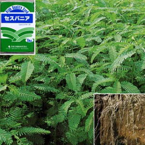 i킯jyL25N09zZXojAiXgA[^j 1kg[^l]