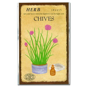 `Cu̎[ɐlCIVubg@Ԃ킢@n[ũ^l]